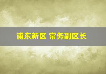 浦东新区 常务副区长